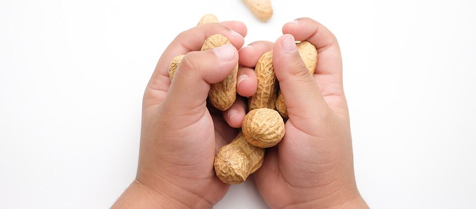 baby hands holding peanuts