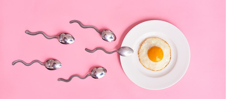 spoons that look like sperm arranged toward plate with egg