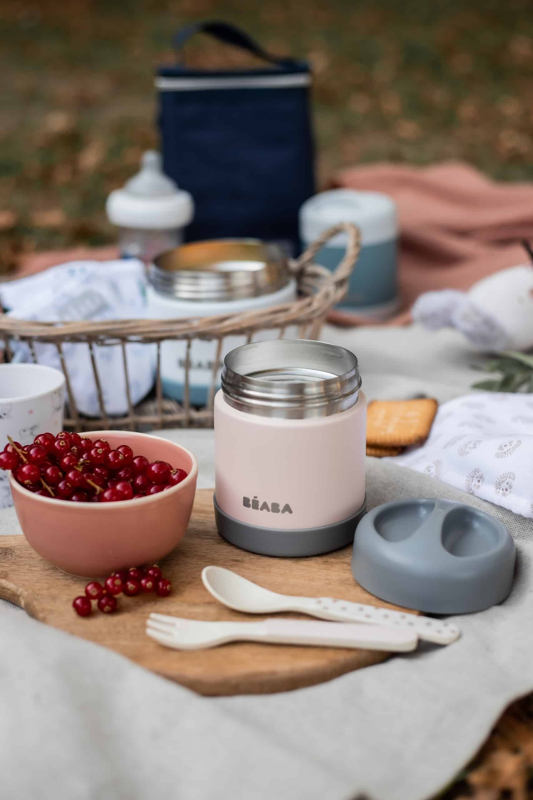 Stainless Steel Insulated Jar Rose